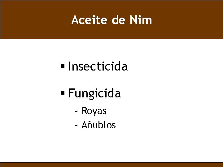 Aceite de Nim § Insecticida § Fungicida - Royas - Añublos 