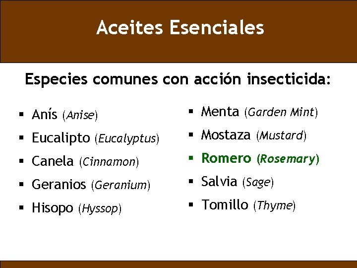 Aceites Esenciales Especies comunes con acción insecticida: § Anís (Anise) § Menta (Garden Mint)