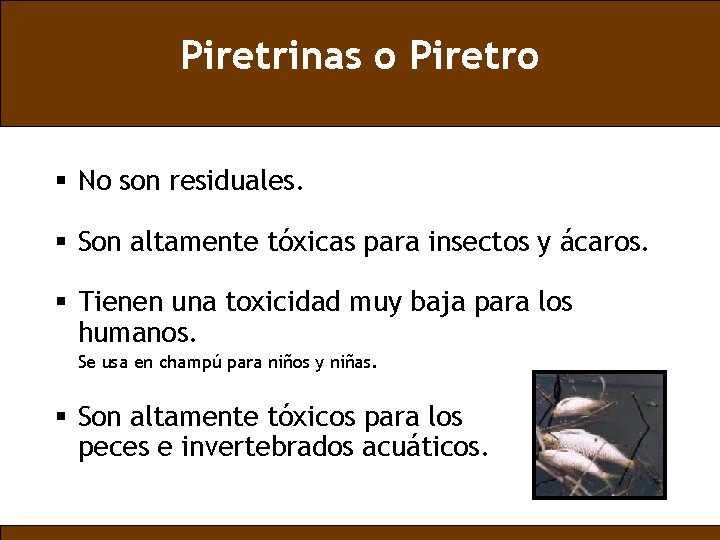 Piretrinas o Piretro § No son residuales. § Son altamente tóxicas para insectos y
