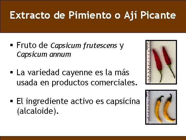Extracto de Pimiento o Ají Picante § Fruto de Capsicum frutescens y Capsicum annum