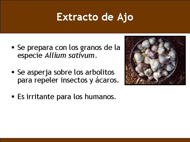 Extracto de Ajo § Se prepara con los granos de la especie Allium sativum.