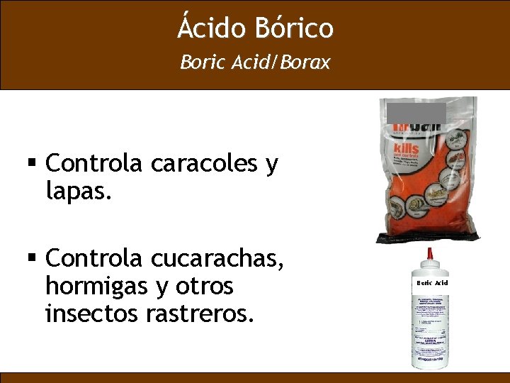 Ácido Bórico Boric Acid/Borax § Controla caracoles y lapas. § Controla cucarachas, hormigas y