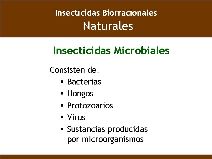 Insecticidas Biorracionales Naturales Insecticidas Microbiales Consisten de: § Bacterias § Hongos § Protozoarios §