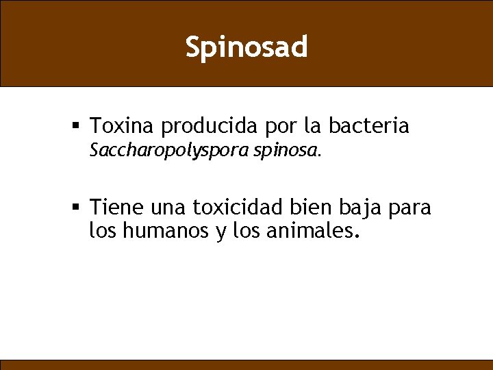Spinosad § Toxina producida por la bacteria Saccharopolyspora spinosa. § Tiene una toxicidad bien