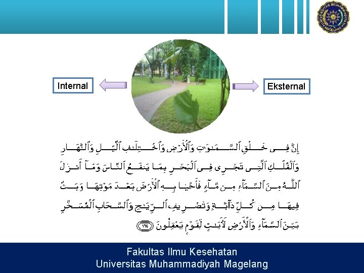 Internal Eksternal Fakultas Ilmu Kesehatan Universitas Muhammadiyah Magelang 