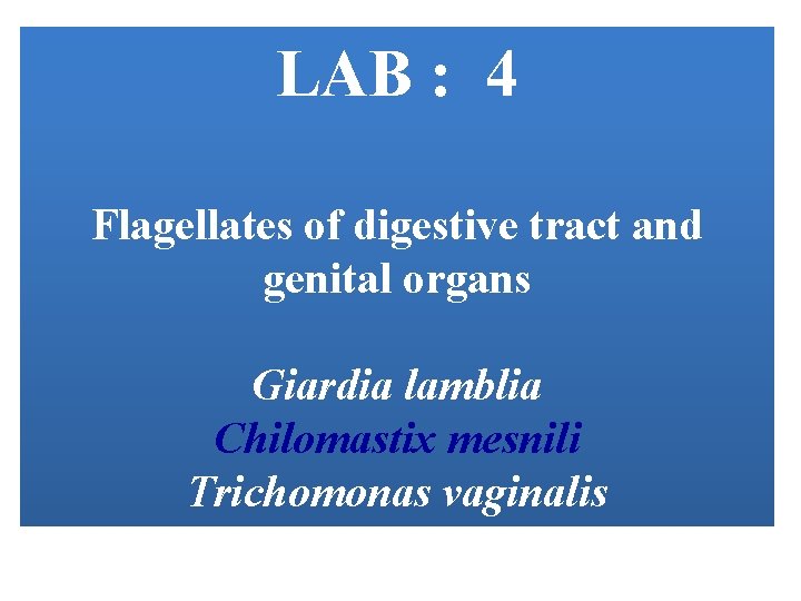 LAB : 4 Flagellates of digestive tract and genital organs Giardia lamblia Chilomastix mesnili