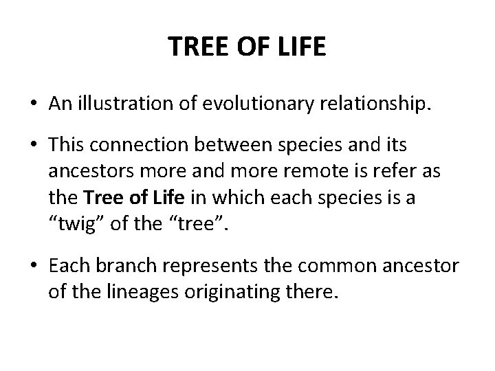 TREE OF LIFE • An illustration of evolutionary relationship. • This connection between species