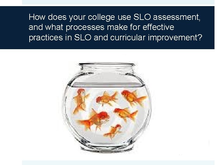 How does your college use SLO assessment, and what processes make for effective practices