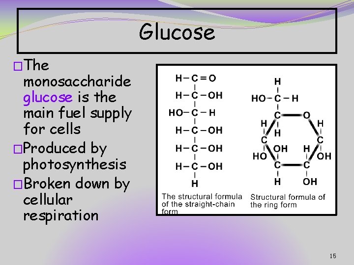 Glucose �The monosaccharide glucose is the main fuel supply for cells �Produced by photosynthesis