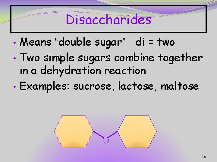 Disaccharides • • • Means “double sugar” di = two Two simple sugars combine