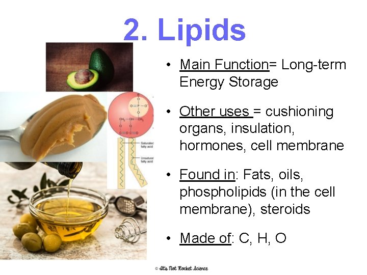 2. Lipids • Main Function= Long-term Energy Storage • Other uses = cushioning organs,