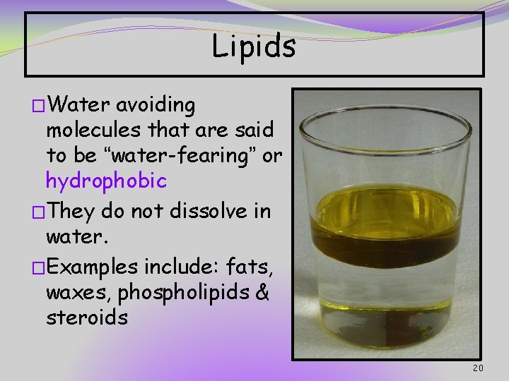 Lipids �Water avoiding molecules that are said to be “water-fearing” or hydrophobic �They do