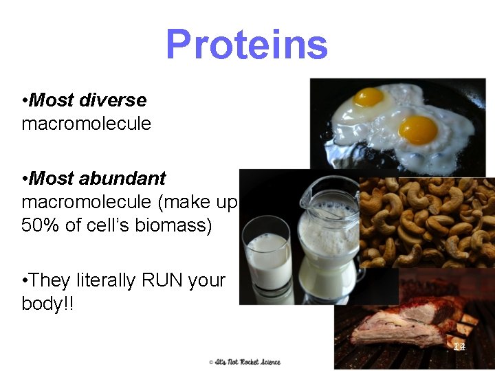 Proteins • Most diverse macromolecule • Most abundant macromolecule (make up 50% of cell’s