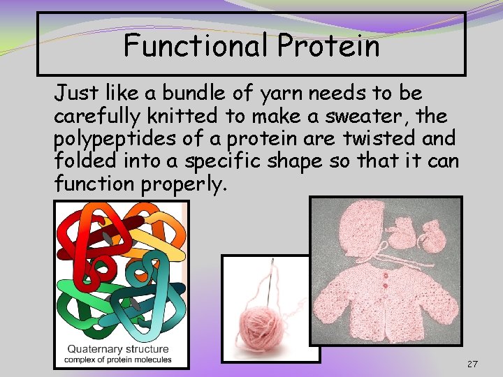 Functional Protein Just like a bundle of yarn needs to be carefully knitted to