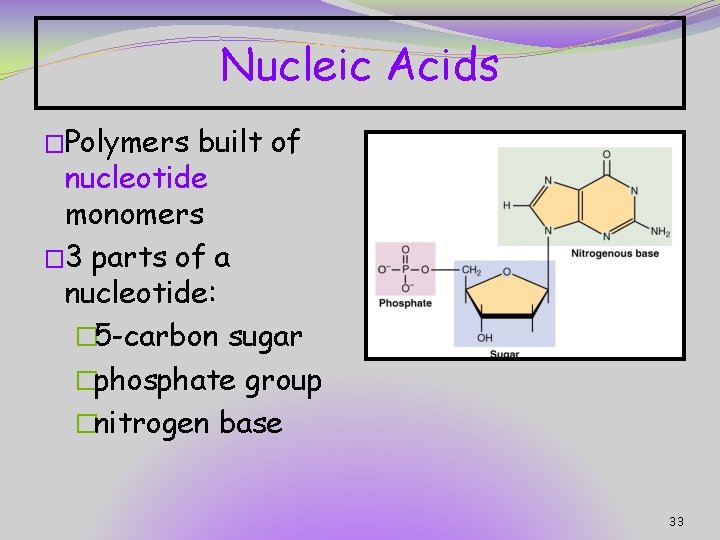 Nucleic Acids �Polymers built of nucleotide monomers � 3 parts of a nucleotide: �