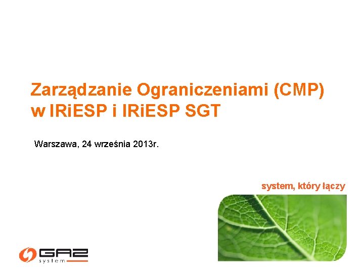 Zarządzanie Ograniczeniami (CMP) w IRi. ESP i IRi. ESP SGT Warszawa, 24 września 2013