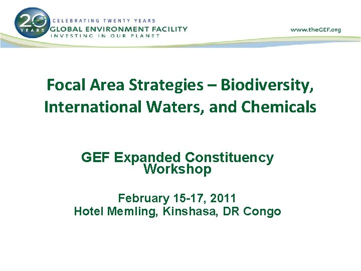 Focal Area Strategies – Biodiversity, International Waters, and Chemicals GEF Expanded Constituency Workshop February