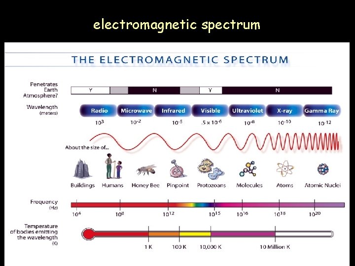 electromagnetic spectrum 