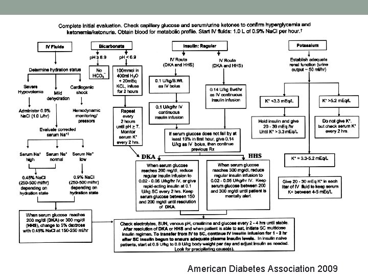American Diabetes Association 2009 