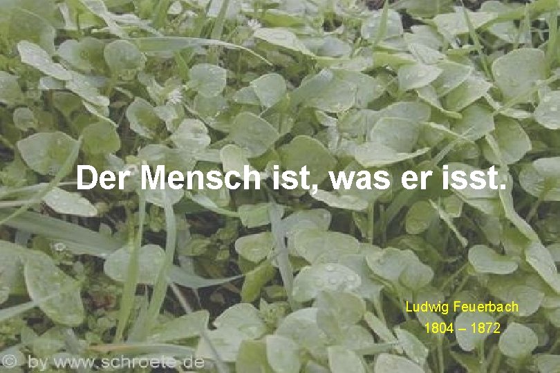 Der Mensch ist, was er isst. Ludwig Feuerbach 1804 – 1872 