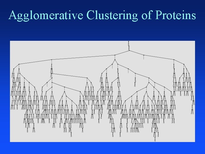 Agglomerative Clustering of Proteins 
