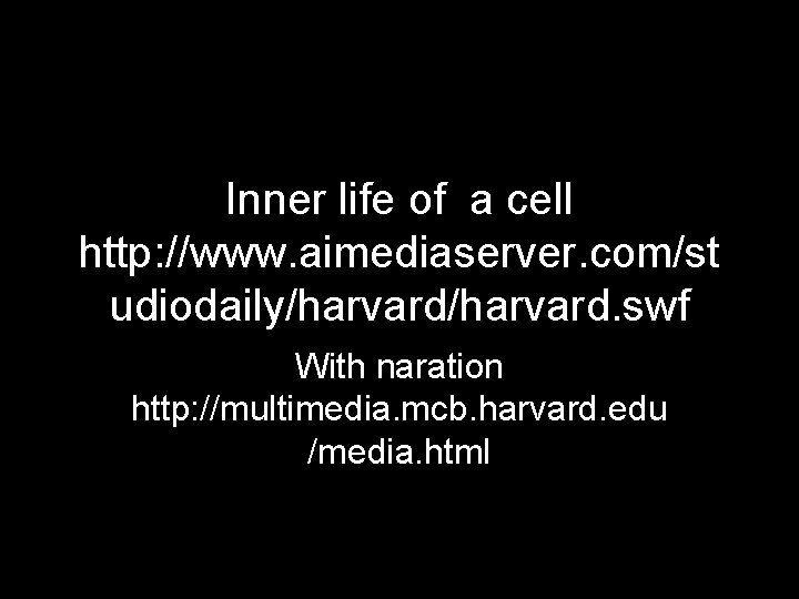 Inner life of a cell http: //www. aimediaserver. com/st udiodaily/harvard. swf With naration http: