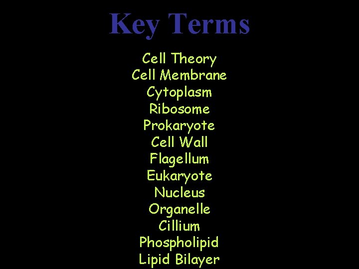 Key Terms Cell Theory Cell Membrane Cytoplasm Ribosome Prokaryote Cell Wall Flagellum Eukaryote Nucleus