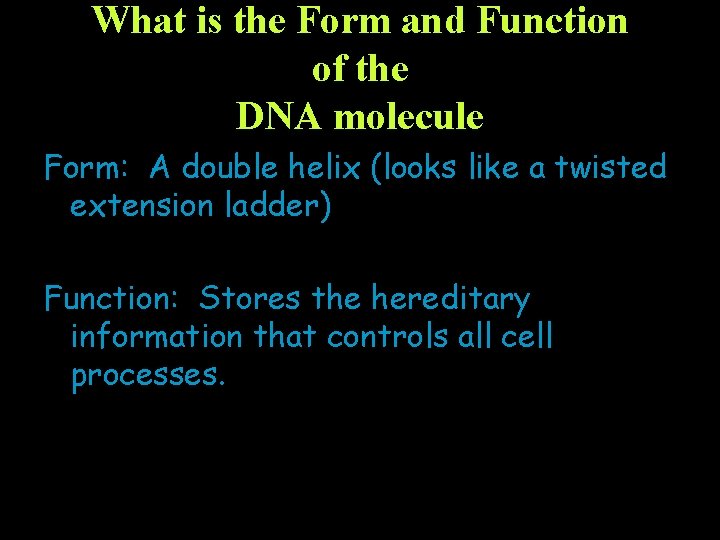 What is the Form and Function of the DNA molecule Form: A double helix