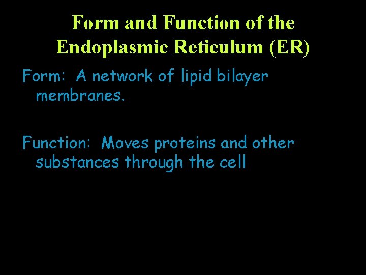 Form and Function of the Endoplasmic Reticulum (ER) Form: A network of lipid bilayer