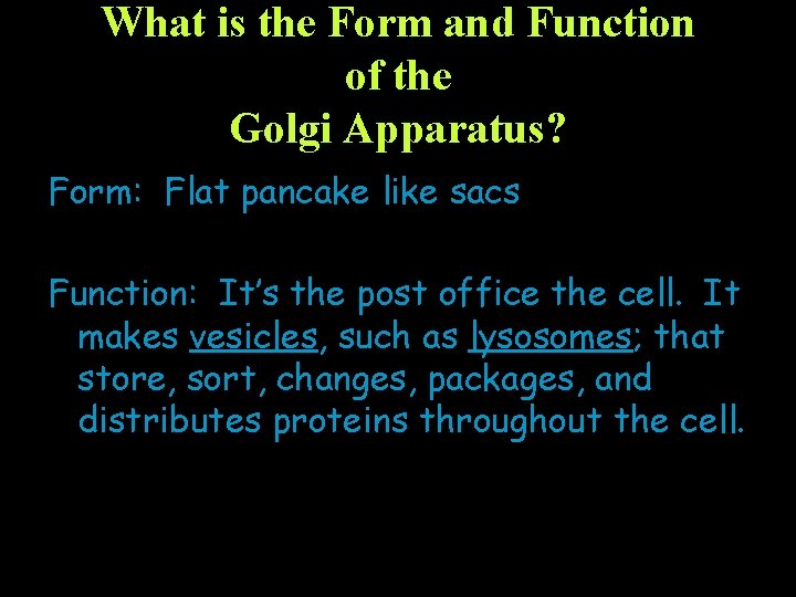 What is the Form and Function of the Golgi Apparatus? Form: Flat pancake like