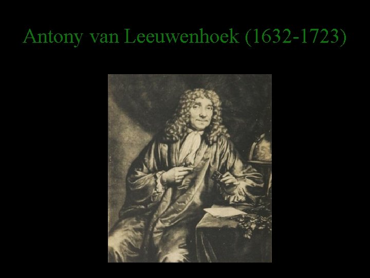 Antony van Leeuwenhoek (1632 -1723) 