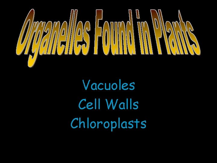 Vacuoles Cell Walls Chloroplasts 