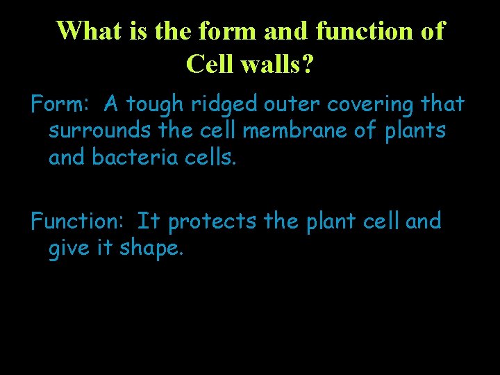 What is the form and function of Cell walls? Form: A tough ridged outer