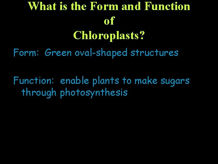 What is the Form and Function of Chloroplasts? Form: Green oval-shaped structures Function: enable