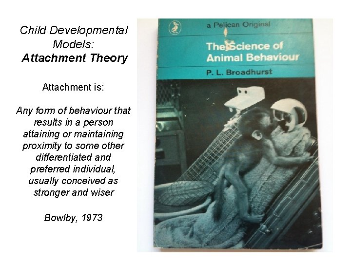 Child Developmental Models: Attachment Theory Attachment is: Any form of behaviour that results in