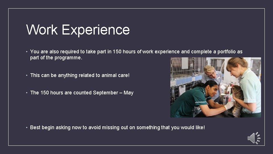 Work Experience • You are also required to take part in 150 hours of