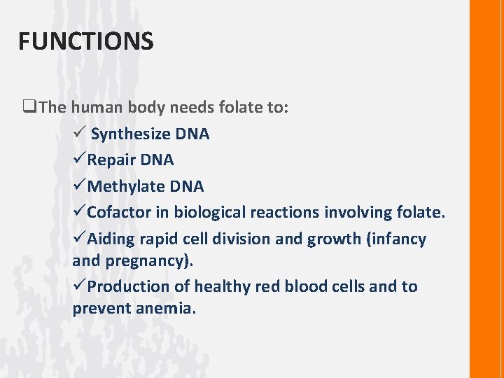 FUNCTIONS q. The human body needs folate to: ü Synthesize DNA üRepair DNA üMethylate