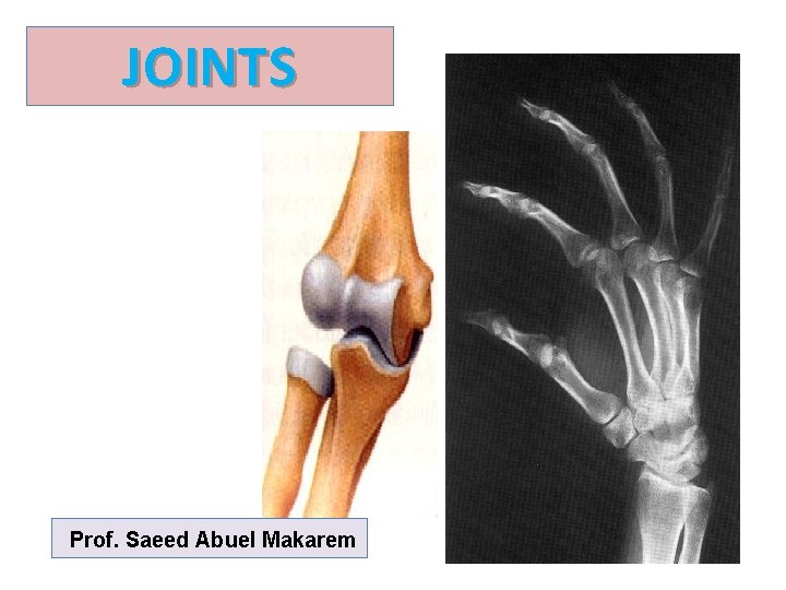 JOINTS Prof. Saeed Abuel Makarem 