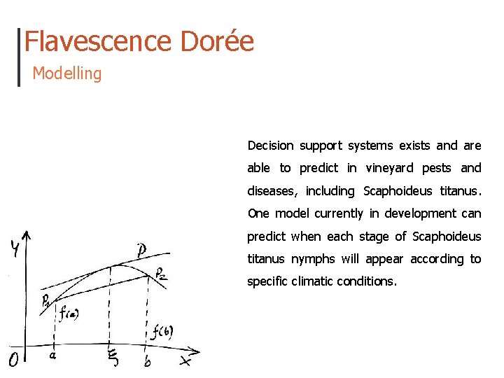 Flavescence Dorée Modelling Decision support systems exists and are able to predict in vineyard