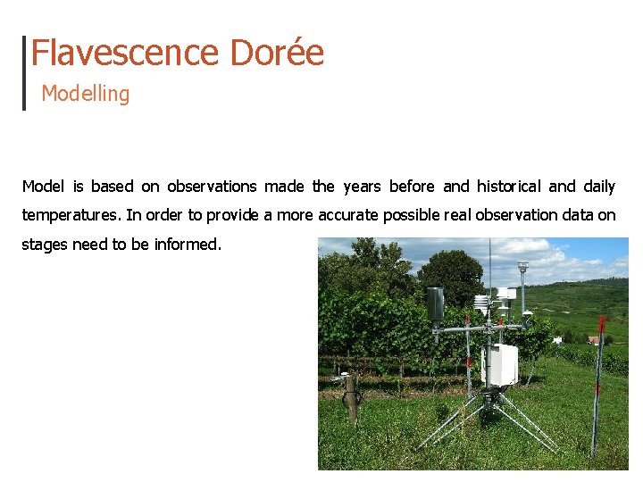 Flavescence Dorée Modelling Model is based on observations made the years before and historical