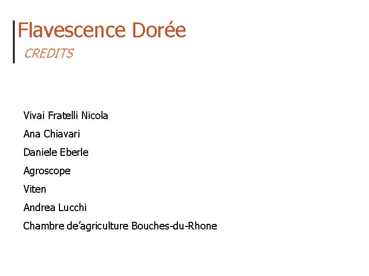 Flavescence Dorée CREDITS Vivai Fratelli Nicola Ana Chiavari Daniele Eberle Agroscope Viten Andrea Lucchi