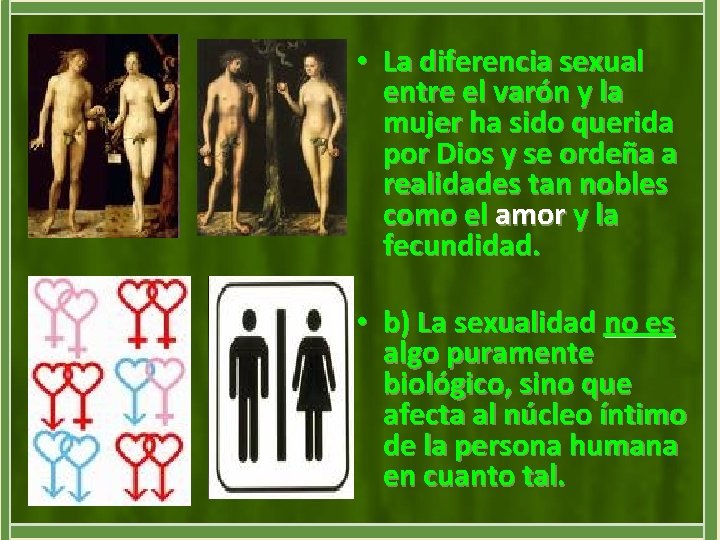  • La diferencia sexual entre el varón y la mujer ha sido querida