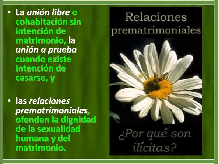  • La unión libre o cohabitación sin intención de matrimonio, la unión a