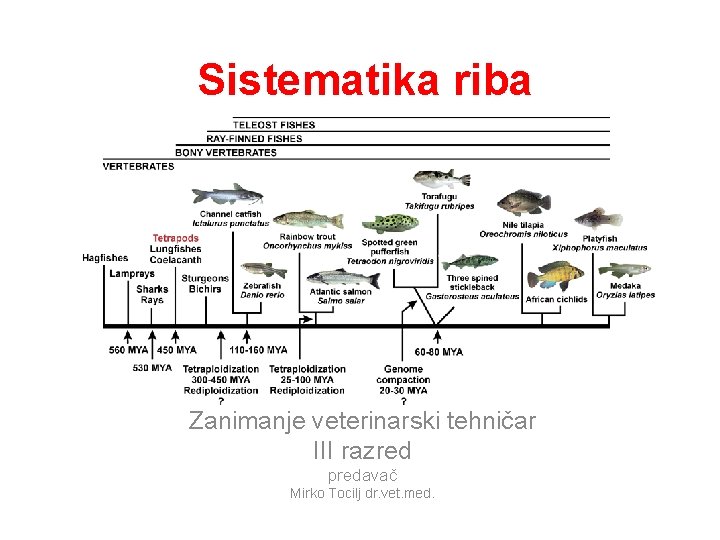Zrakoperke Ribe Sistematika riba Zanimanje veterinarski tehniar III razred predava