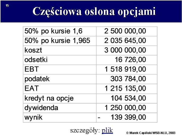 15 Częściowa osłona opcjami szczegóły: plik © Marek Capiński WSB-NLU, 2003 