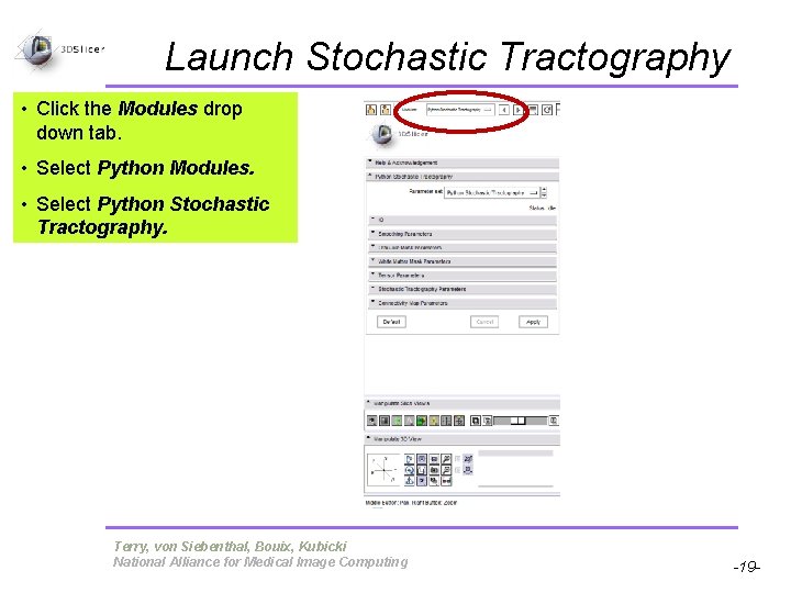 Launch Stochastic Tractography • Click the Modules drop down tab. • Select Python Modules.
