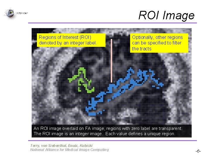 ROI Image Regions of Interest (ROI) denoted by an integer label. Optionally, other regions