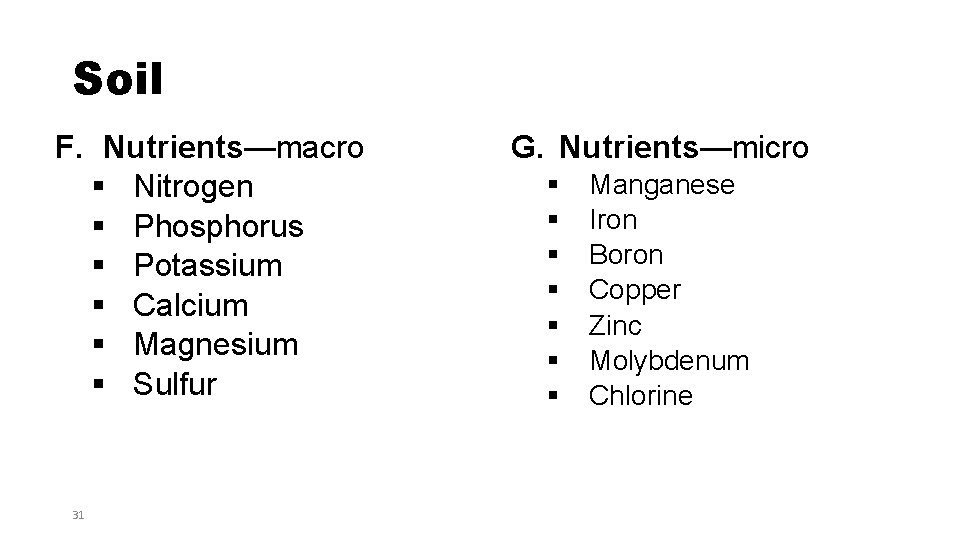 Soil F. Nutrients—macro § Nitrogen § Phosphorus § Potassium § Calcium § Magnesium §