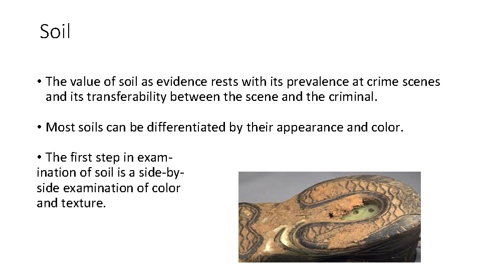 Soil • The value of soil as evidence rests with its prevalence at crime