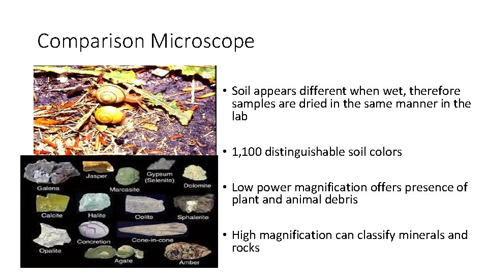 Comparison Microscope • Soil appears different when wet, therefore samples are dried in the
